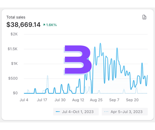 Fashion DTC brand scaled from 0 to $38k in just two months